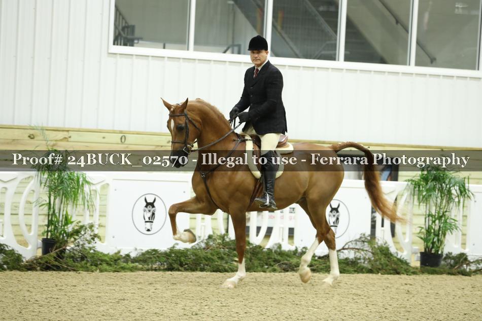 Proof 24BUCK_02570