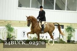 24BUCK_02570 proof