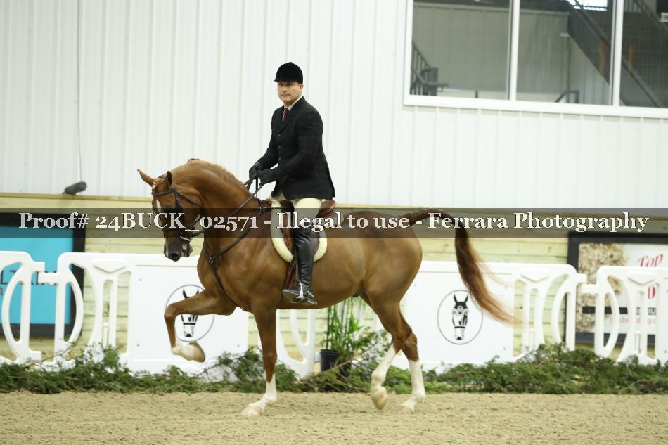 Proof 24BUCK_02571