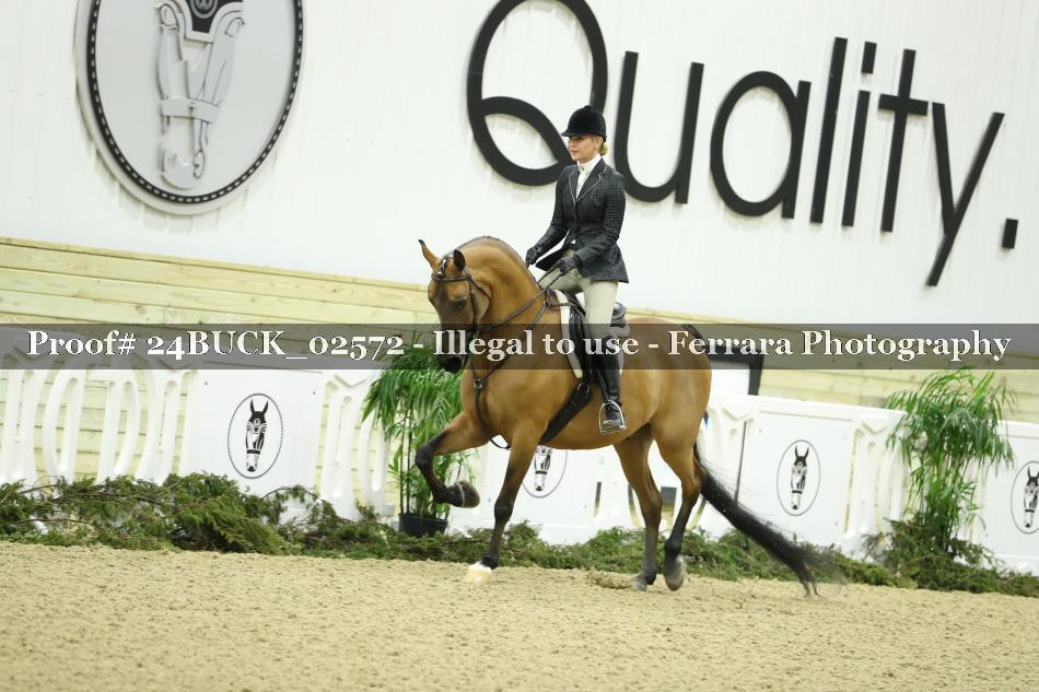 Proof 24BUCK_02572