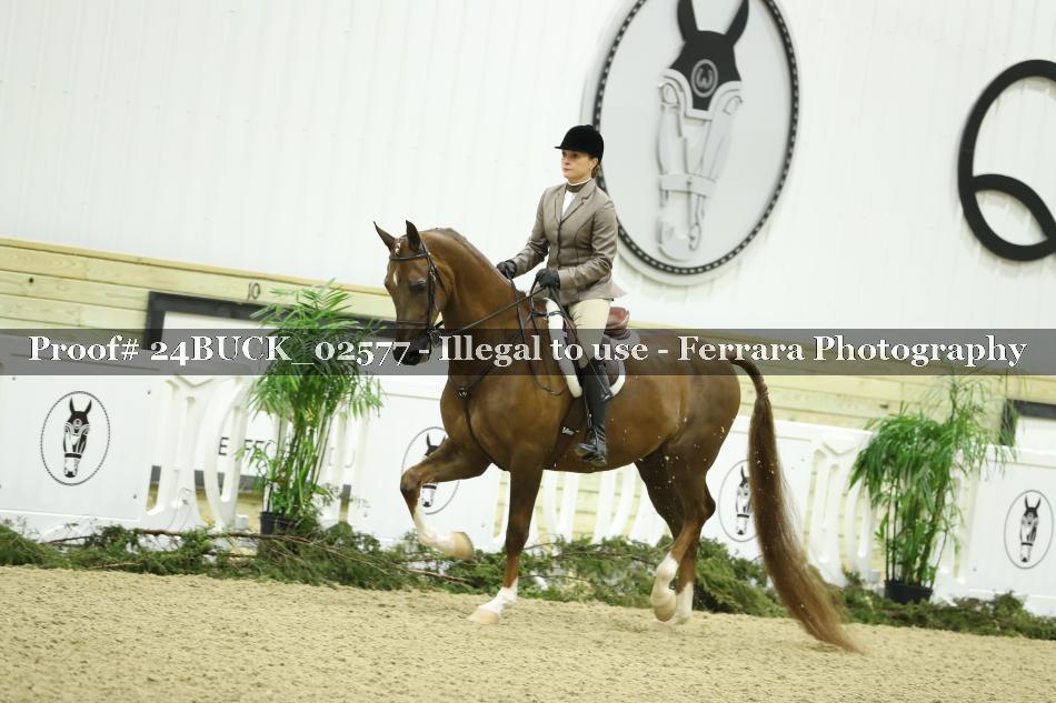 Proof 24BUCK_02577