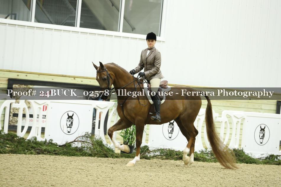 Proof 24BUCK_02578