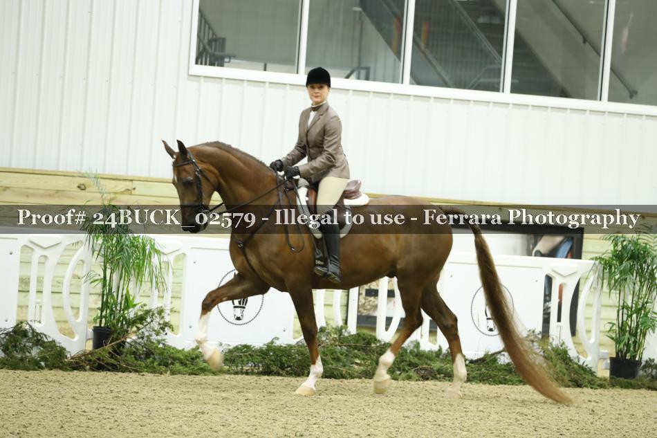 Proof 24BUCK_02579