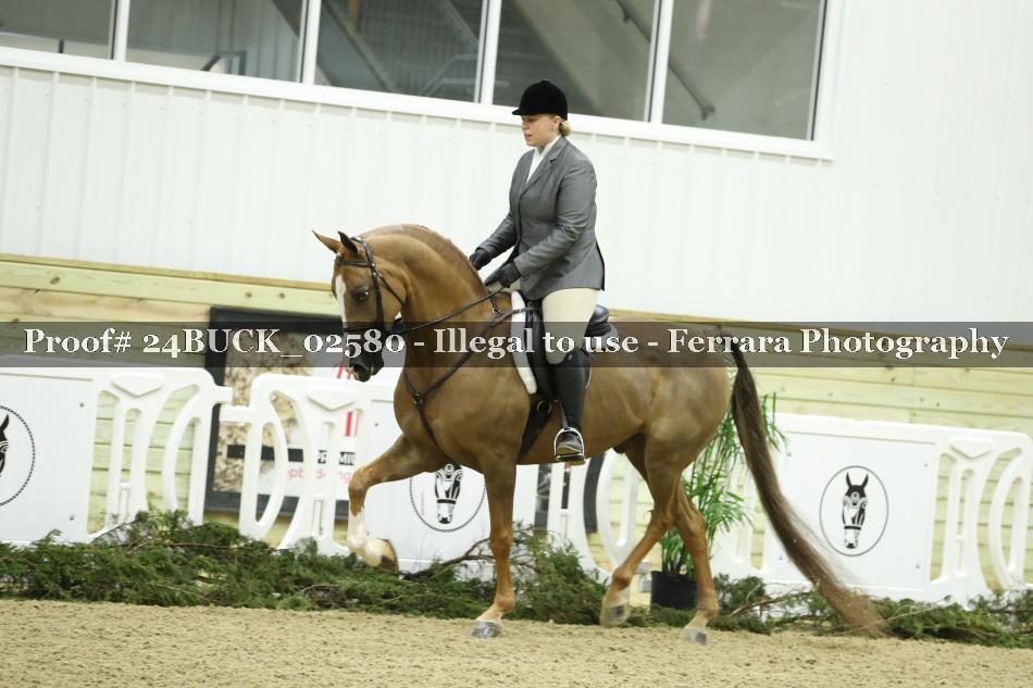 Proof 24BUCK_02580