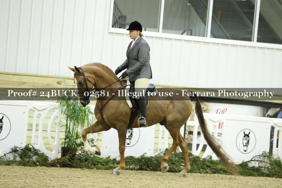 Proof 24BUCK_02581