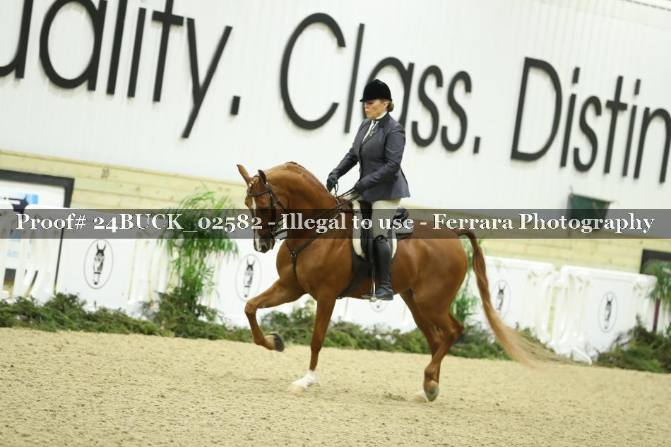Proof 24BUCK_02582