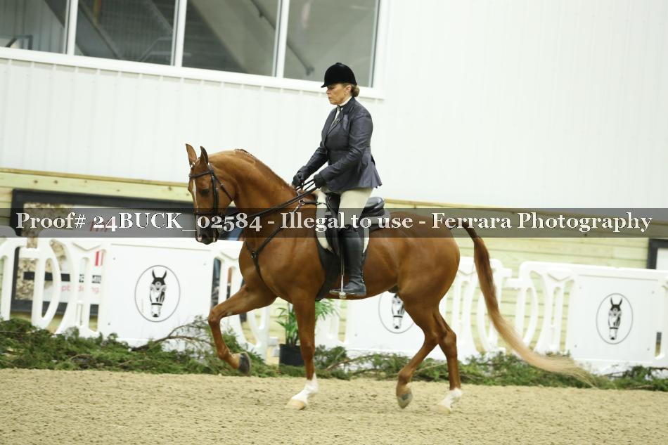 Proof 24BUCK_02584