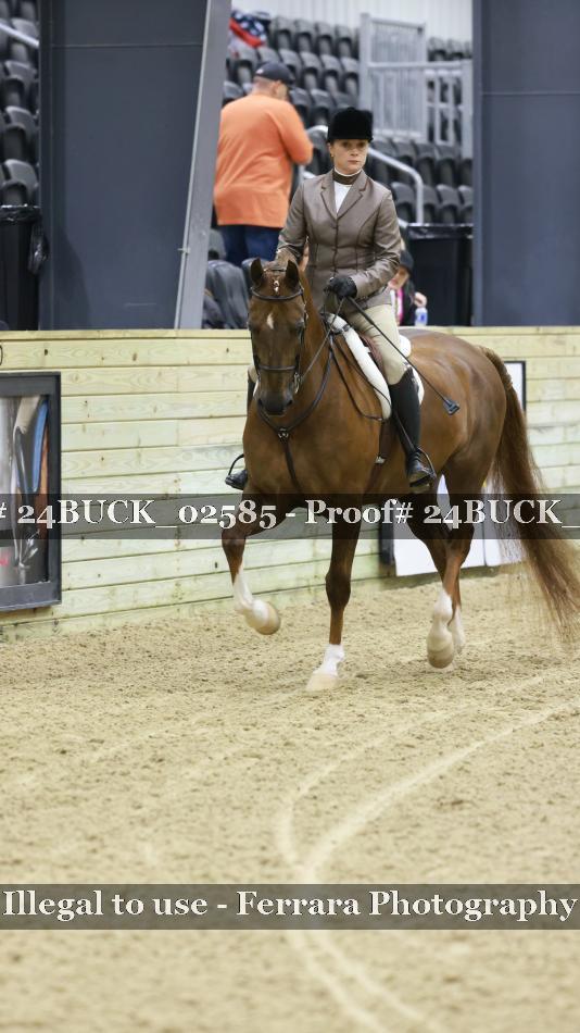 Proof 24BUCK_02585