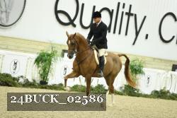 24BUCK_02586 proof