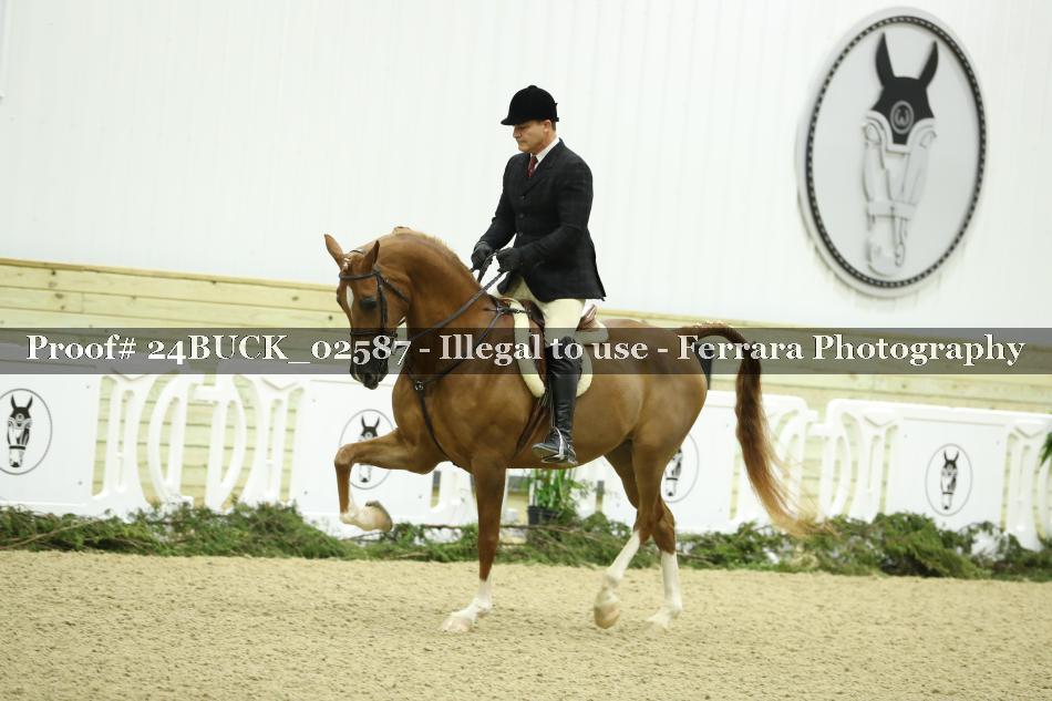 Proof 24BUCK_02587