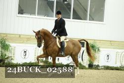 24BUCK_02588 proof