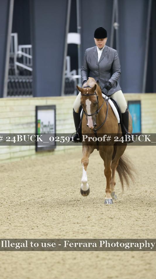 Proof 24BUCK_02591