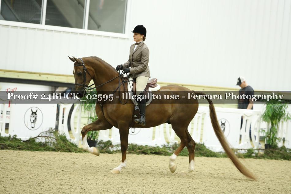 Proof 24BUCK_02595