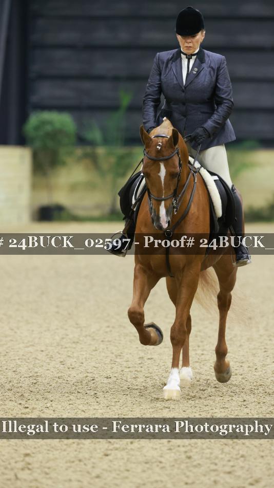 Proof 24BUCK_02597