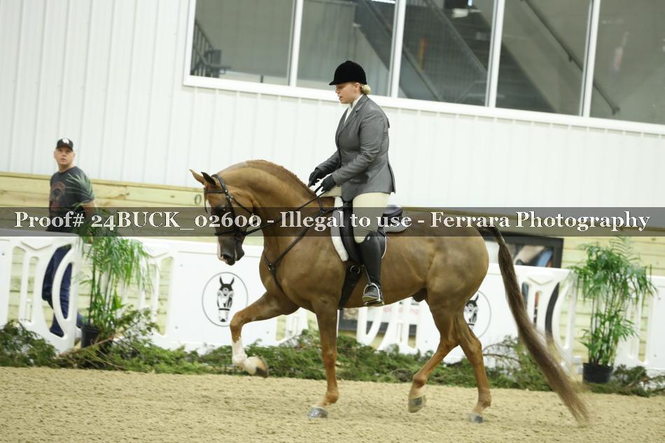 Proof 24BUCK_02600