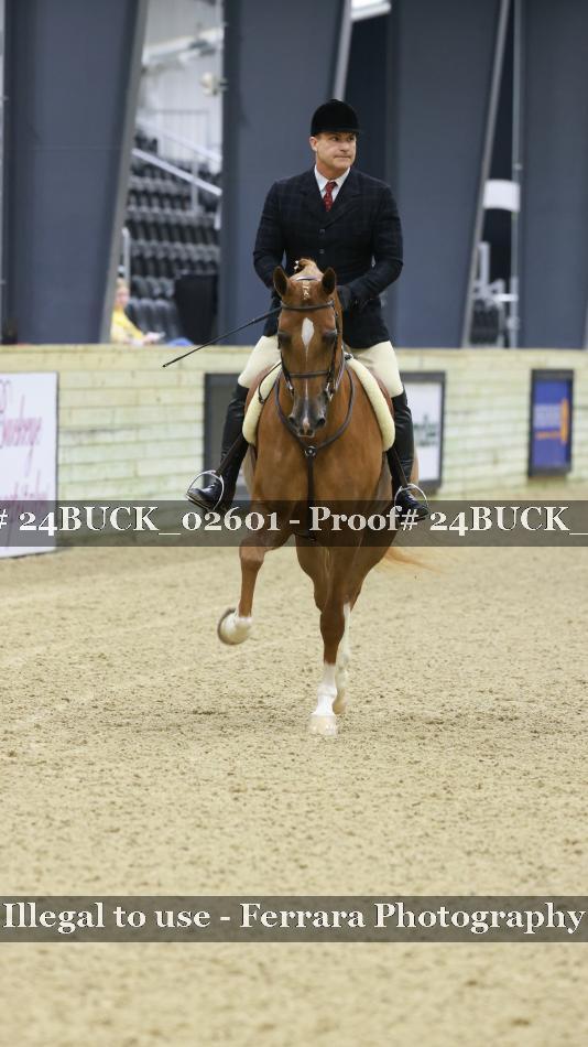 Proof 24BUCK_02601