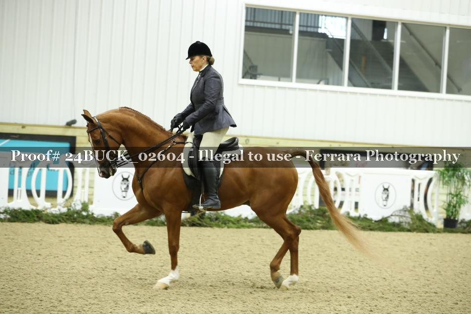 Proof 24BUCK_02604
