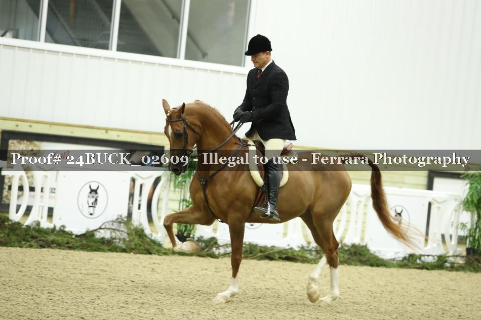 Proof 24BUCK_02609