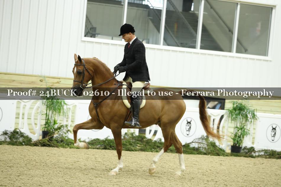 Proof 24BUCK_02610