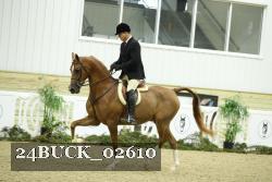 24BUCK_02610 proof
