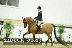 24BUCK_02613 proof
