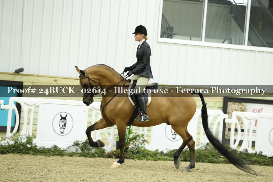 Proof 24BUCK_02614
