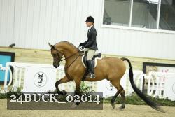 24BUCK_02614 proof