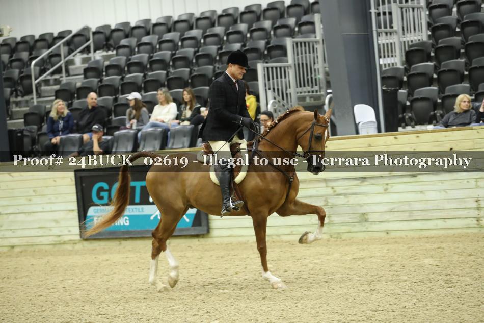 Proof 24BUCK_02619