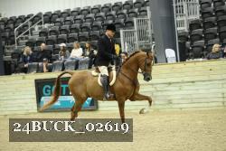 24BUCK_02619 proof