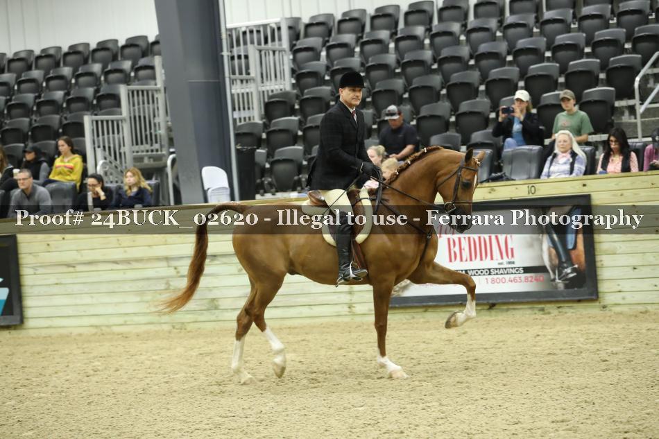 Proof 24BUCK_02620