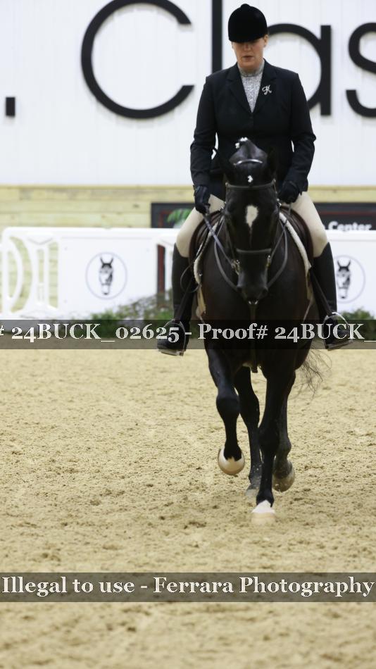 Proof 24BUCK_02625