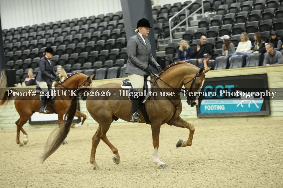 Proof 24BUCK_02626