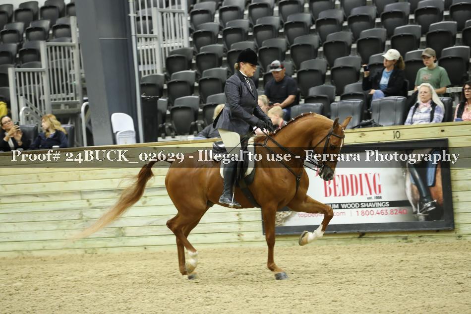 Proof 24BUCK_02629