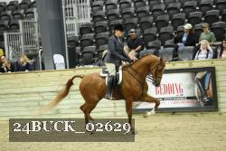 24BUCK_02629 proof