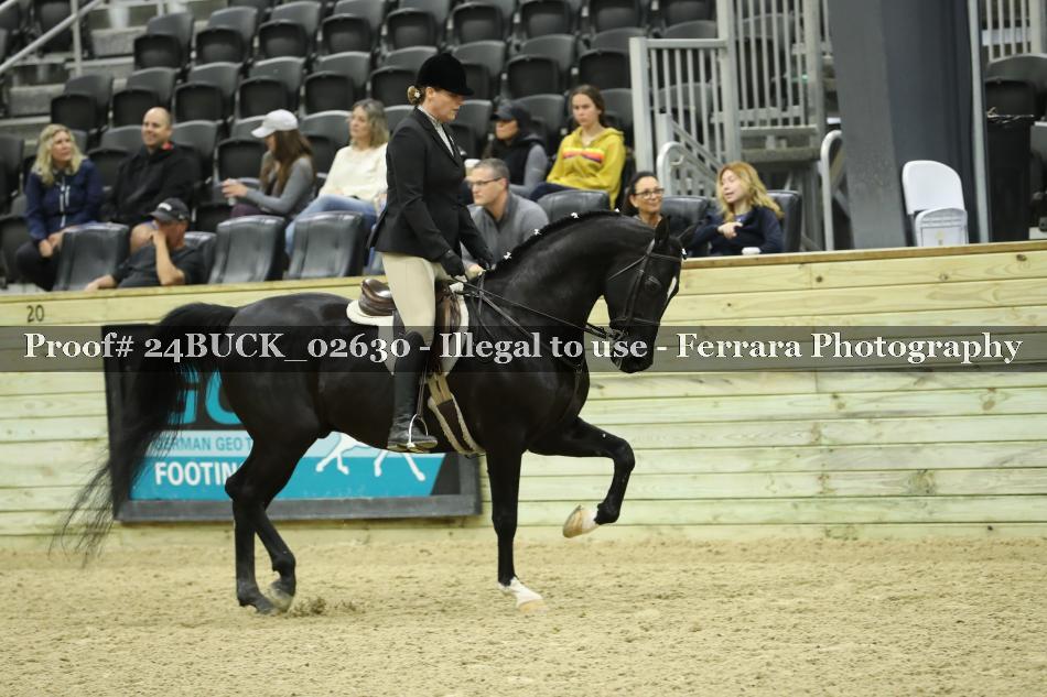 Proof 24BUCK_02630