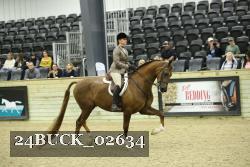 24BUCK_02634 proof
