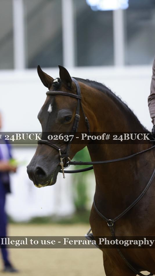 Proof 24BUCK_02637