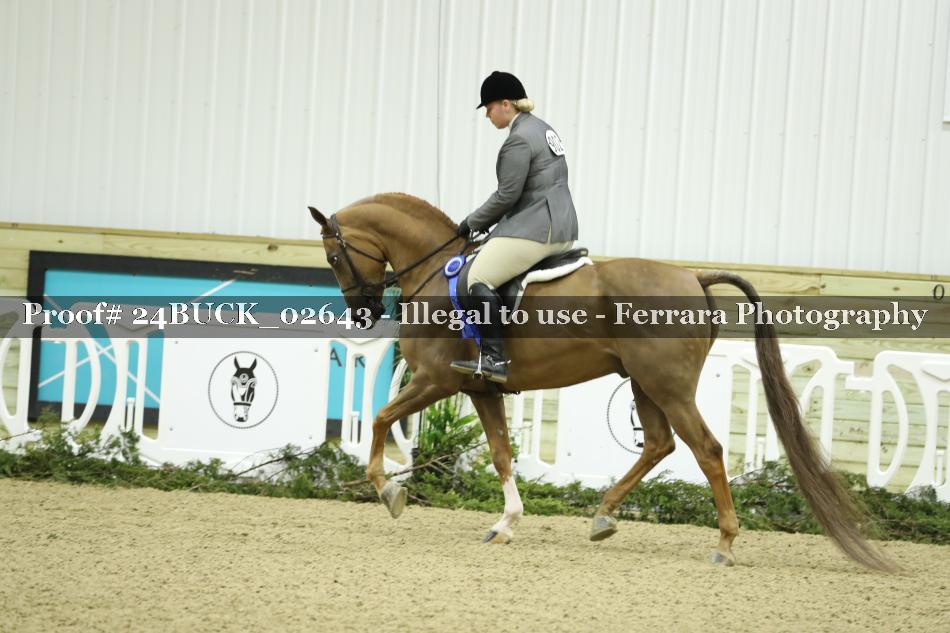 Proof 24BUCK_02643