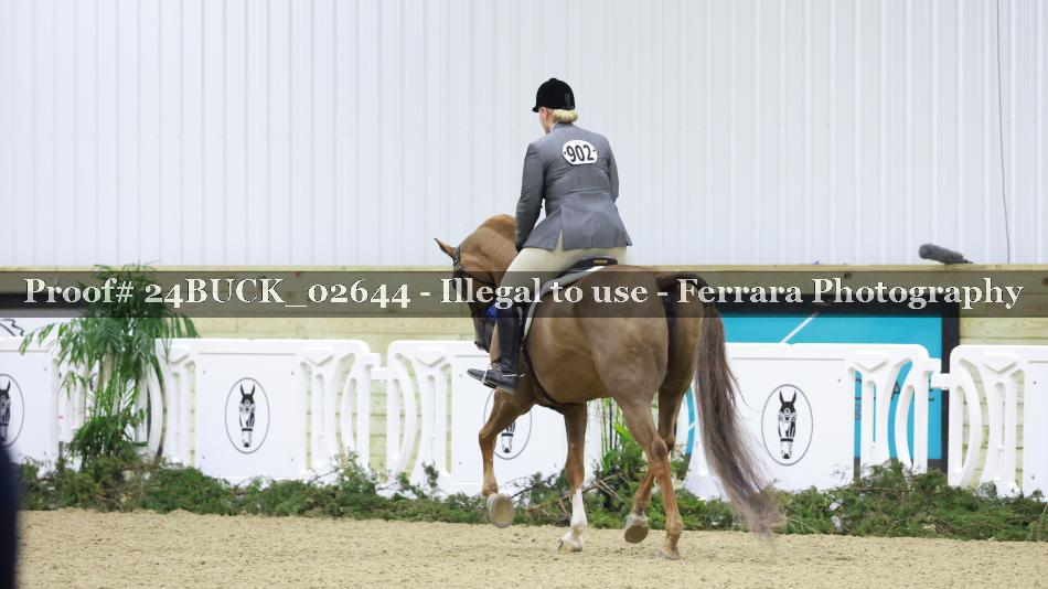 Proof 24BUCK_02644