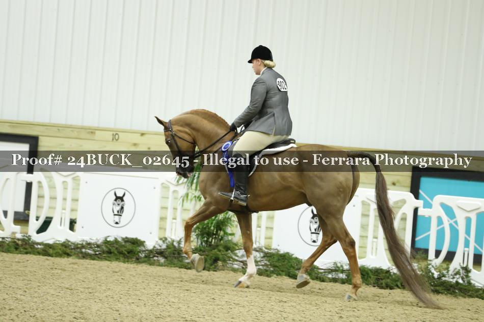 Proof 24BUCK_02645