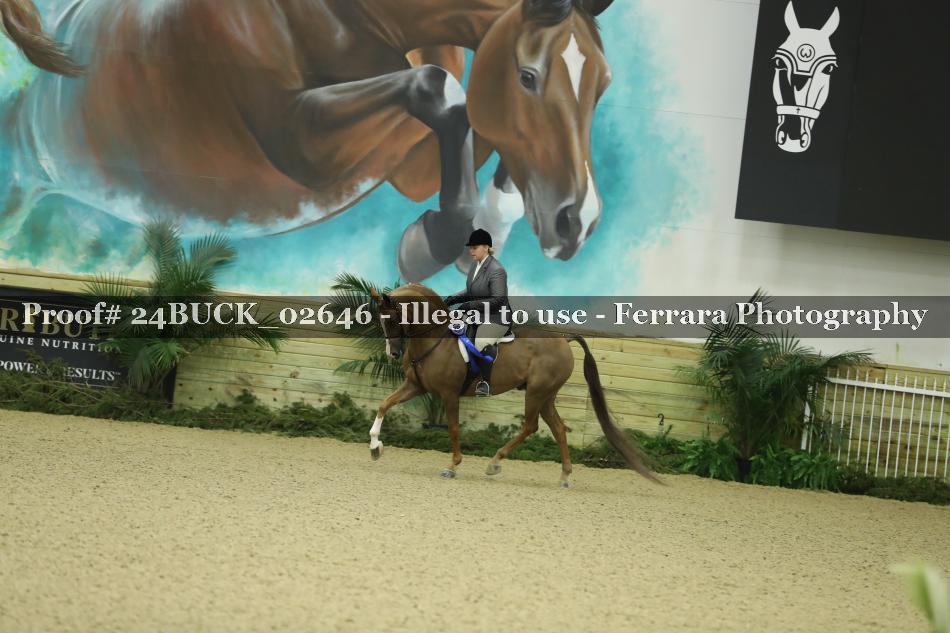 Proof 24BUCK_02646