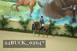24BUCK_02647 proof