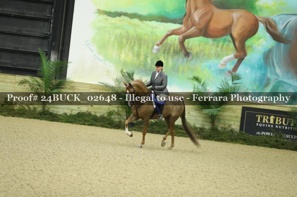 Proof 24BUCK_02648