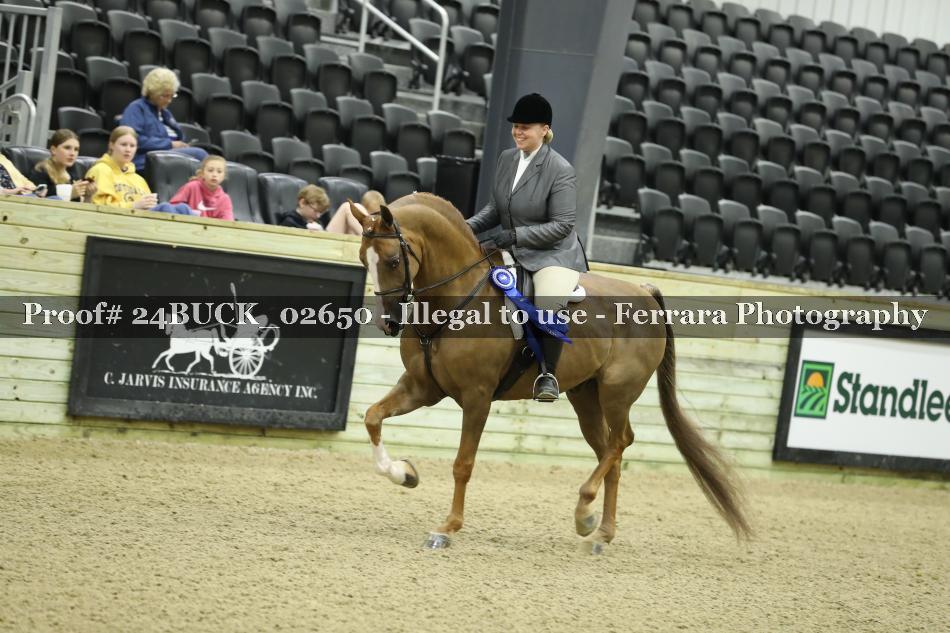 Proof 24BUCK_02650