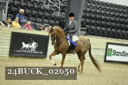 24BUCK_02650 proof
