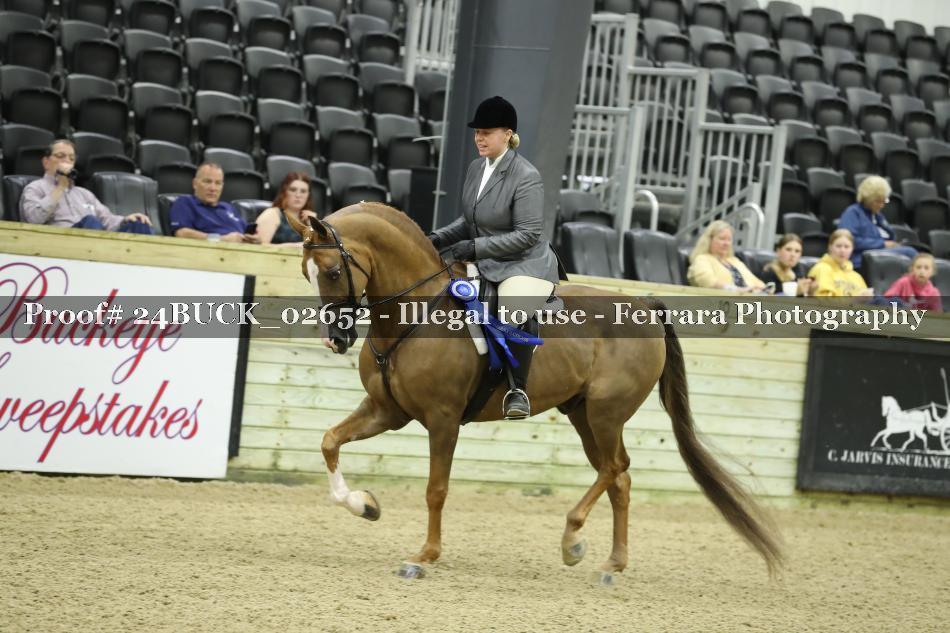 Proof 24BUCK_02652