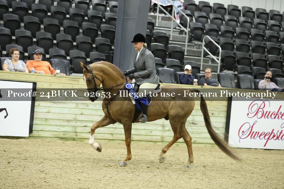 Proof 24BUCK_02653