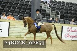 24BUCK_02653 proof