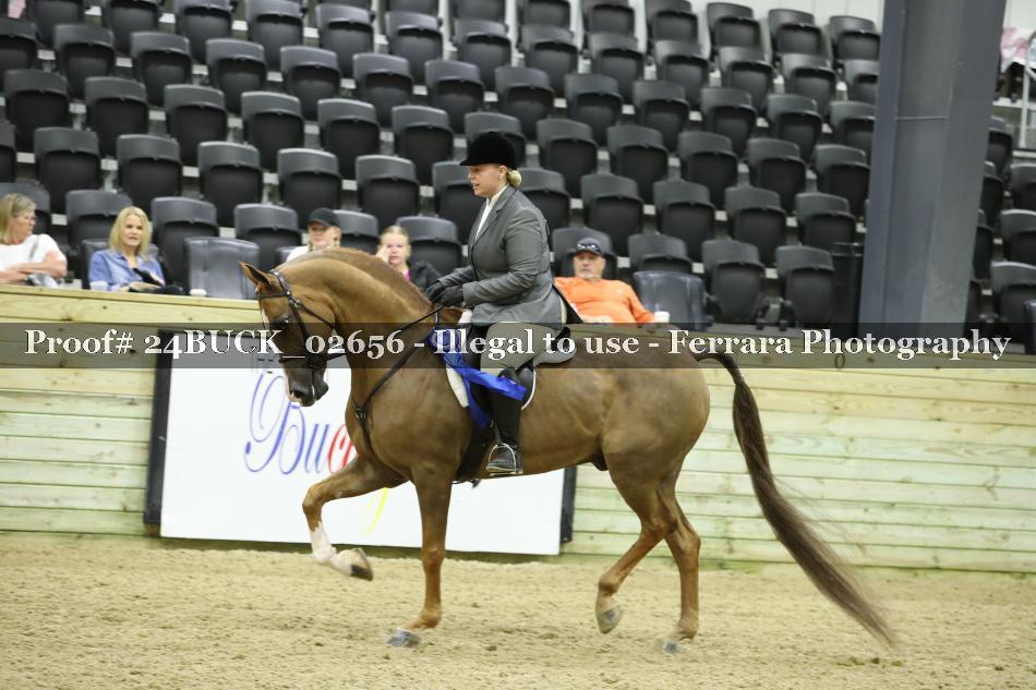 Proof 24BUCK_02656
