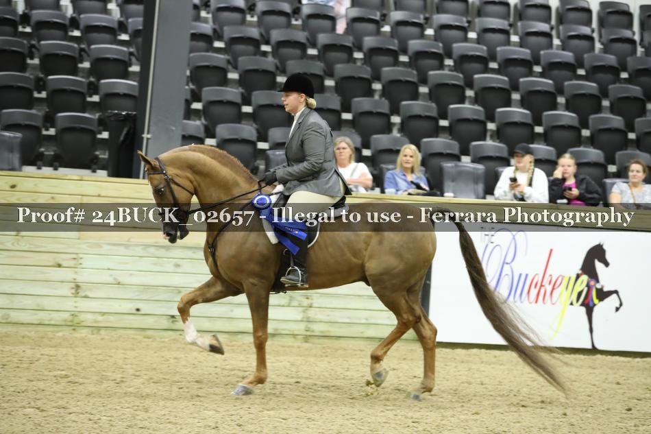 Proof 24BUCK_02657